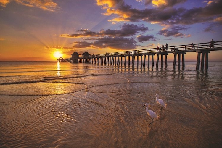 5 things to do in Naples Florida
