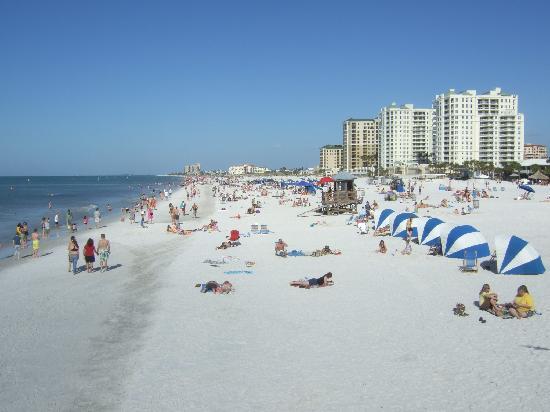 Things to do in Clearwater - Florida