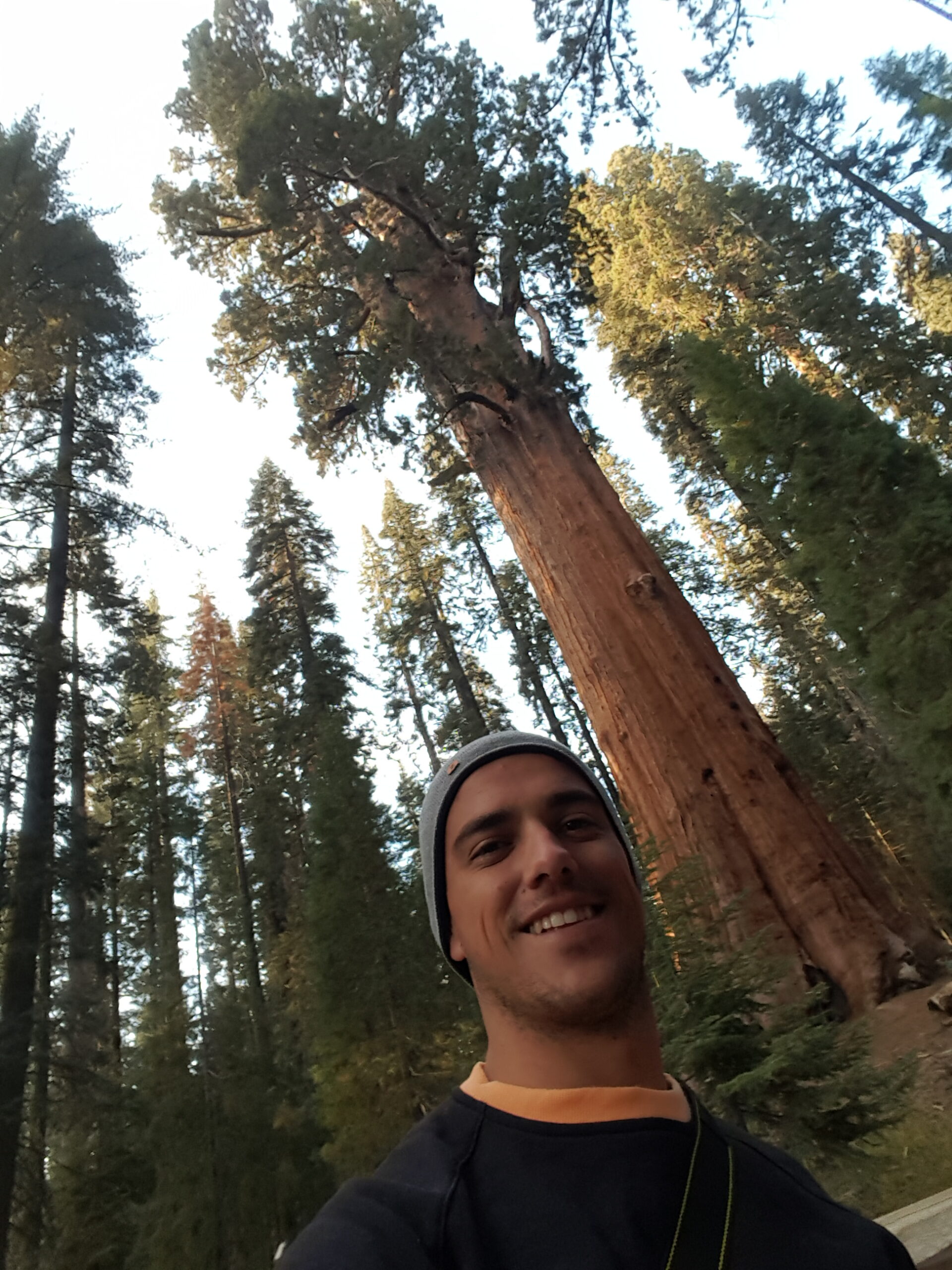 Sequoia National Park - Vollständiger Leitfaden