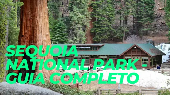 Sequoia National Park - Guia Completo