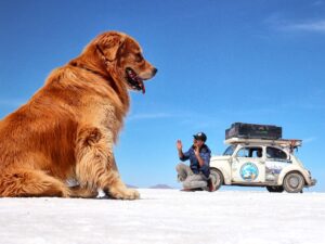 Morrem Jesse koz e seu cachorro Shurastey que viajavam pelo mundo de