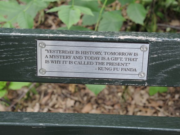 central park benches - NY