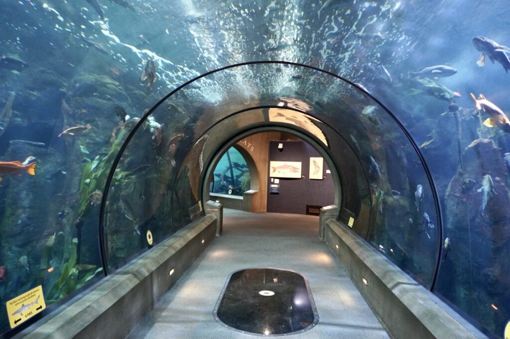 Acuario de la costa de Oregón