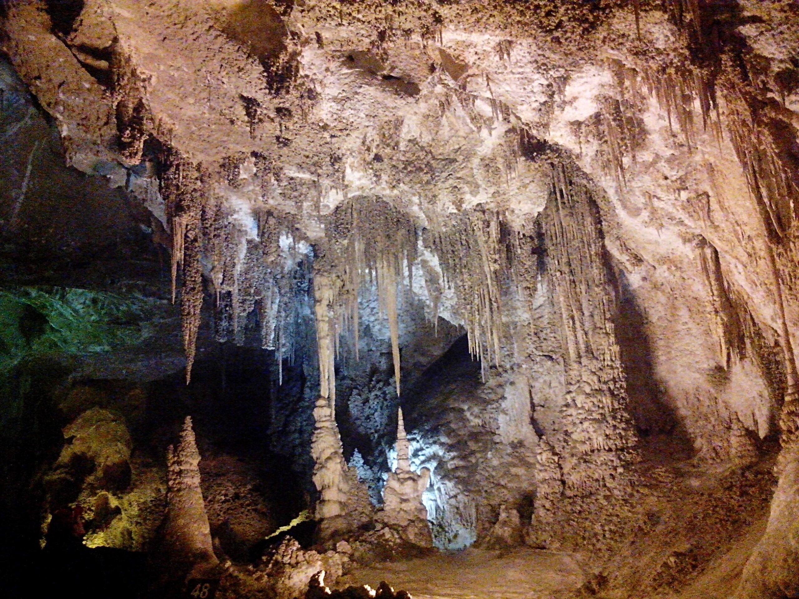 Parque Nacional das Caverna de Carlsbad
