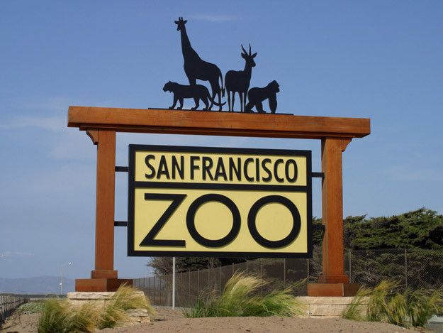 Zoo von San Francisco
