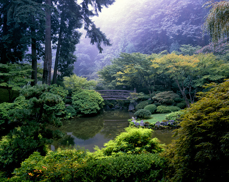 jardín japonés