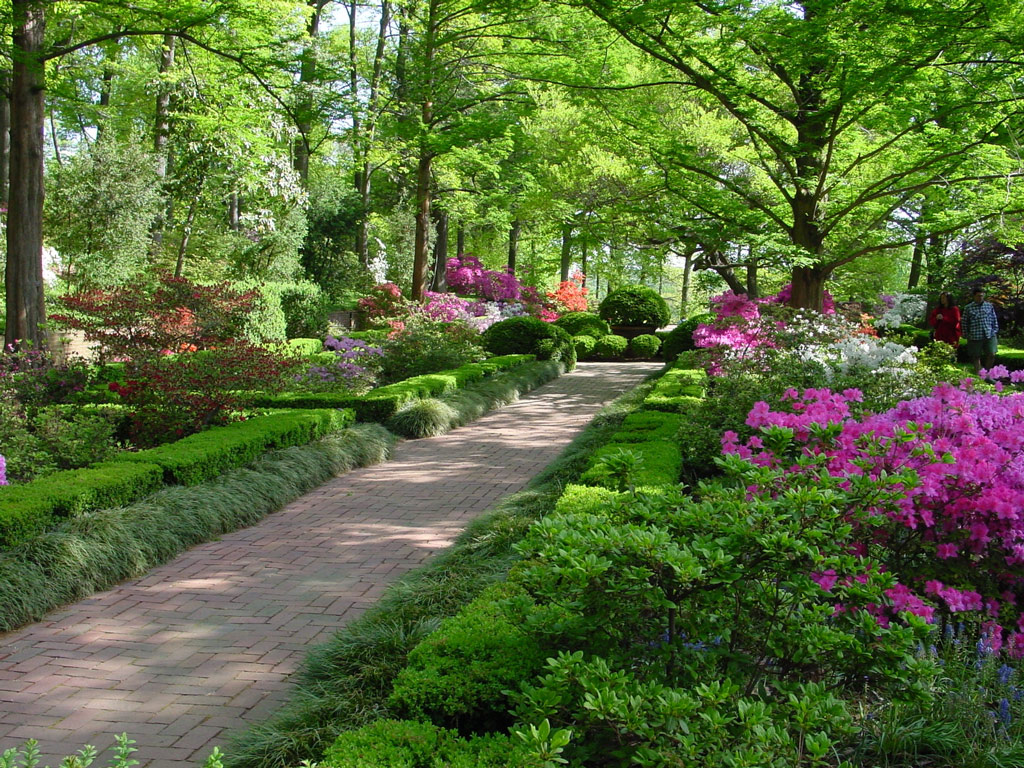 Arnold Arboretum on Jamaica Plain