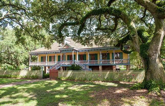 Laura Plantation