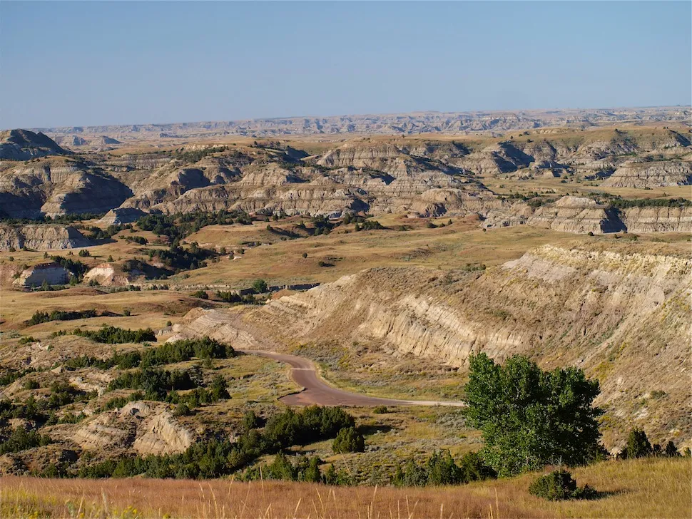 Theodere Roosevelt National Park
