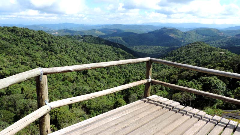 Sentiero di pietra rotonda