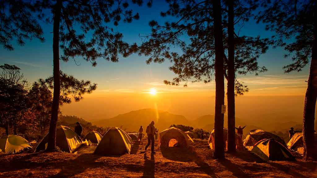 amigos em acampamento
