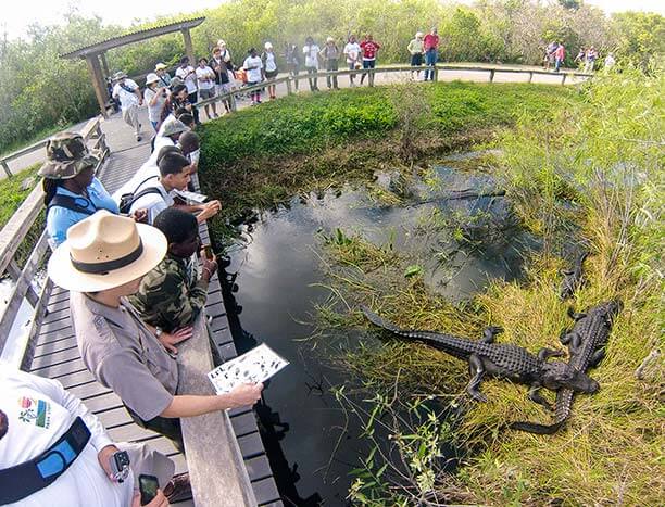 parque de los marismas