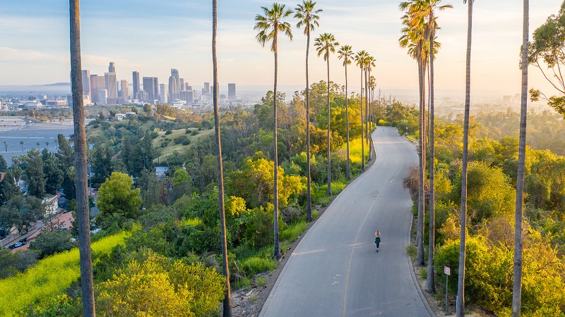 california in march