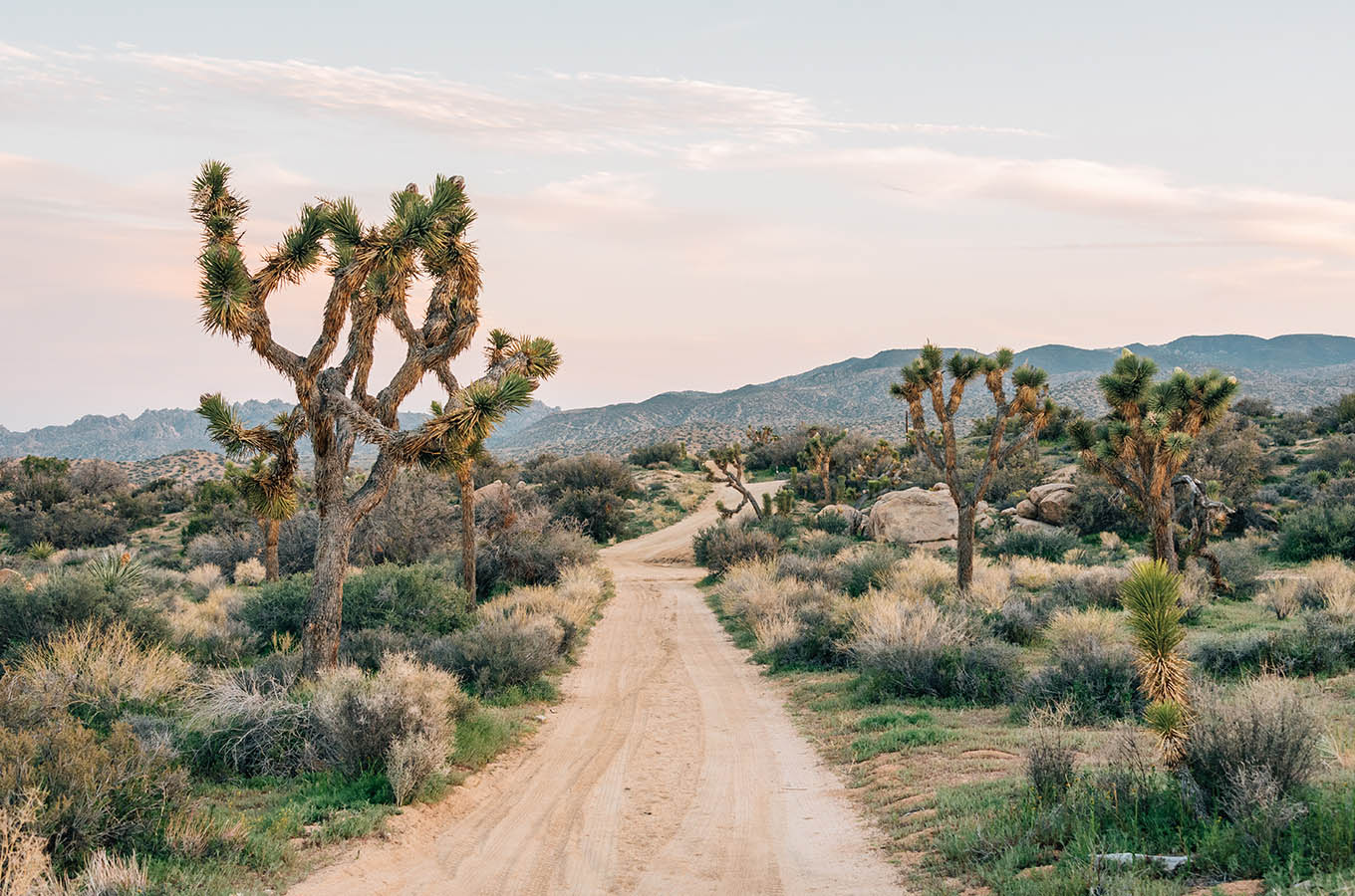 Parco nazionale di Joshua Tree