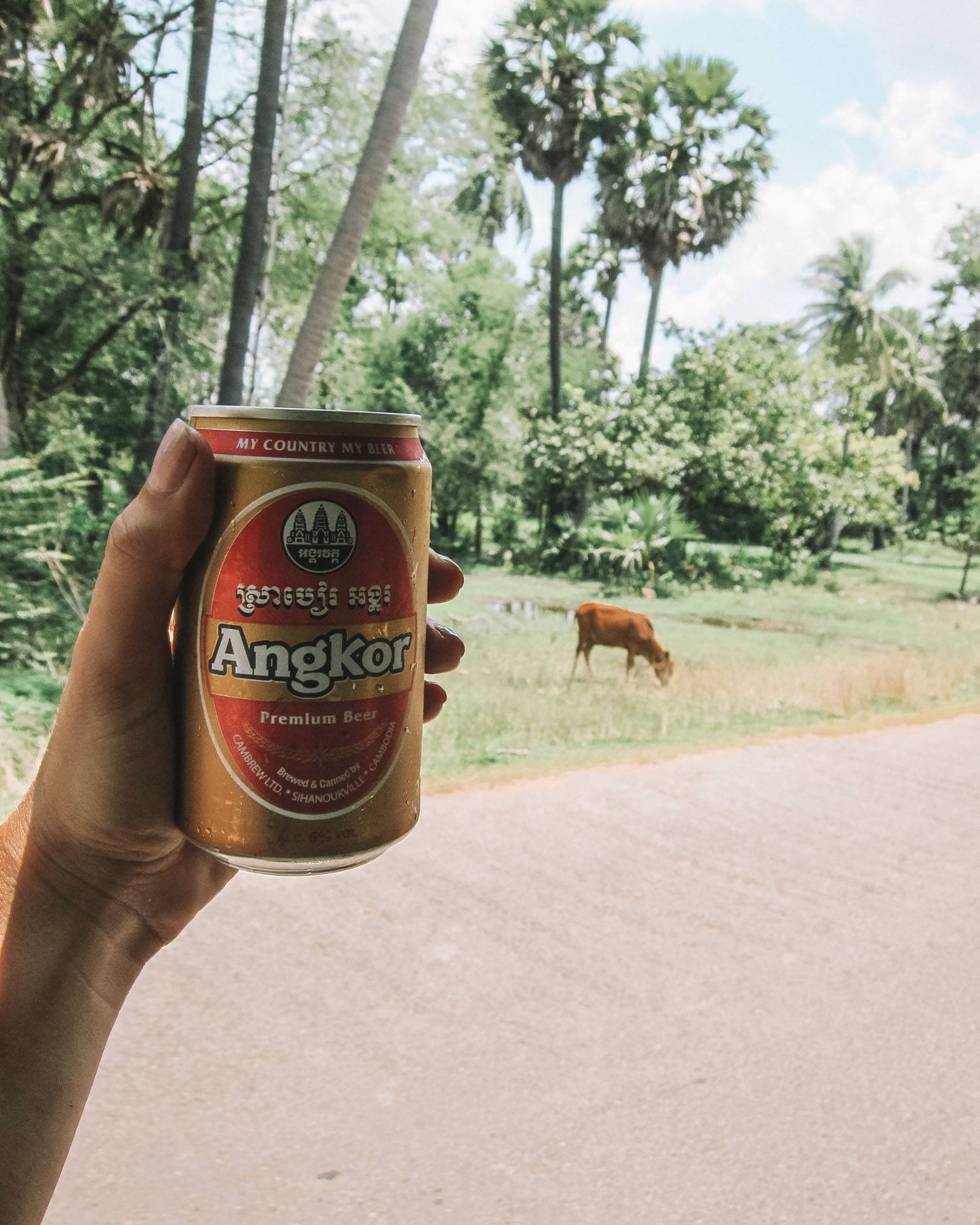 cerveja angkor no camboja