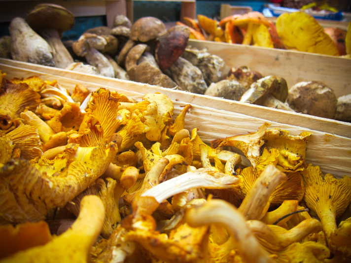 Setas en el Mercado de la Boqueria, Barcelona