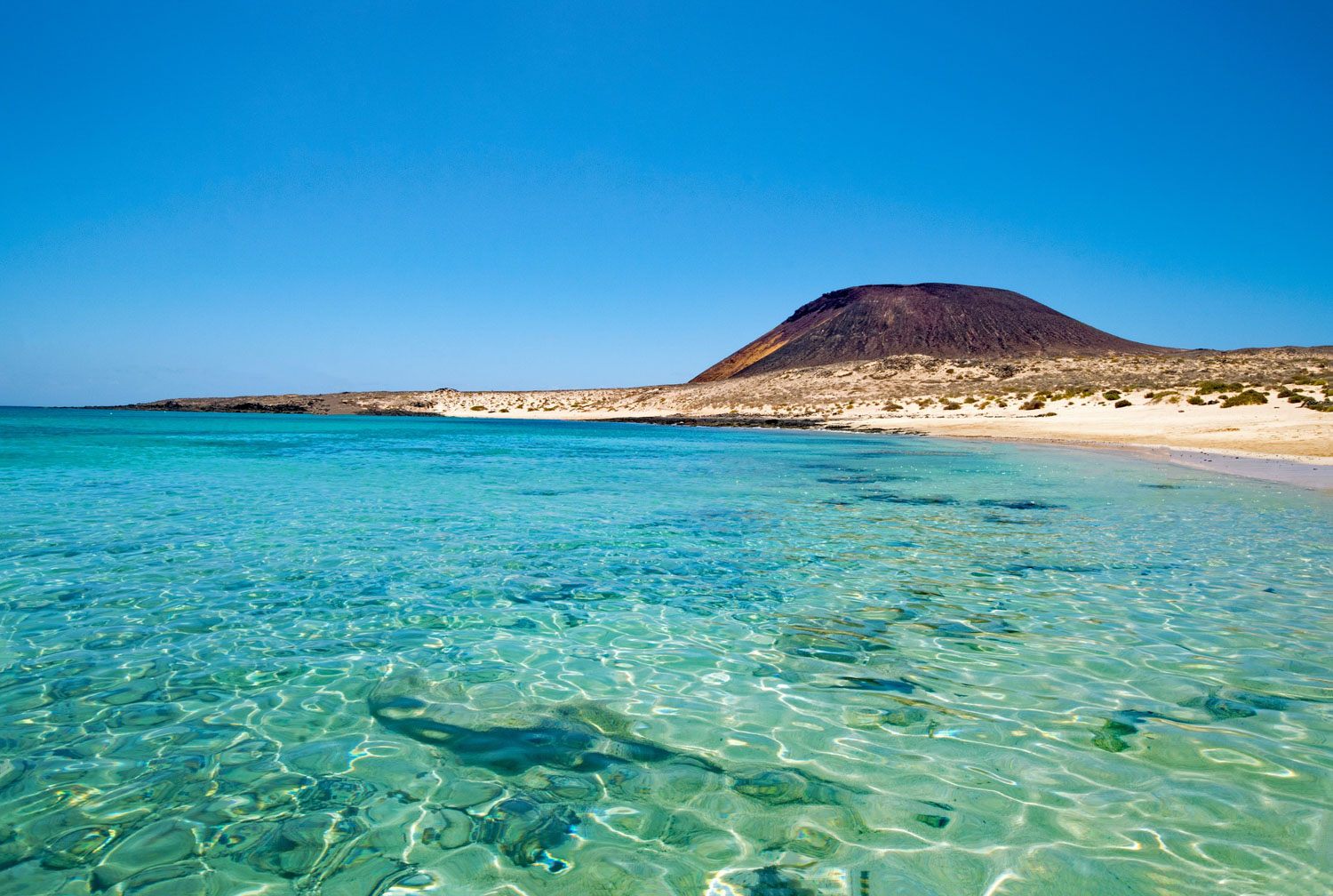 isole Canarie