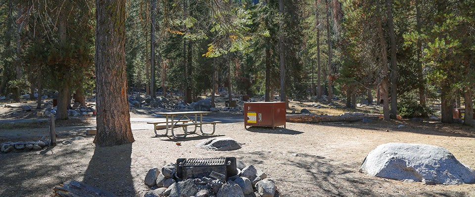 Lodgepole Campingplatz