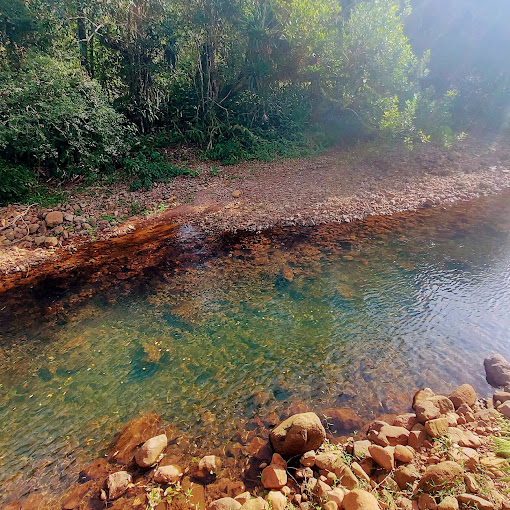 Agua cristalina en Río en Morrinhos do Sul