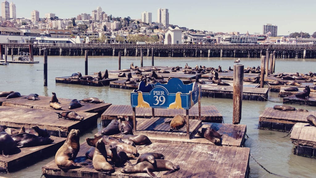 Pier 39 - San Francisco – Kalifornien