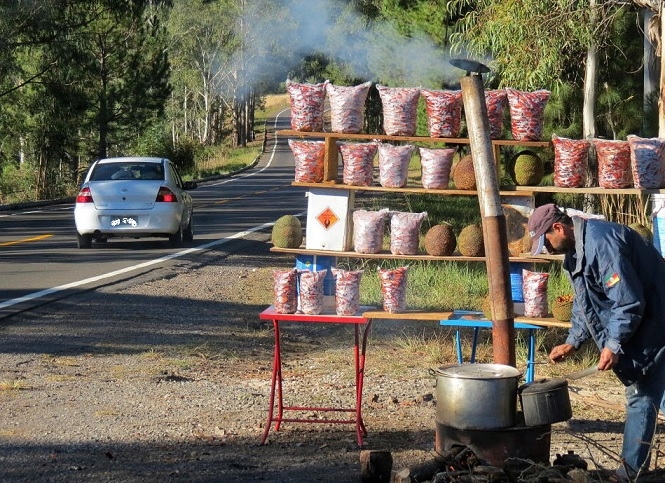 Pinoli al forno sul ciglio della strada