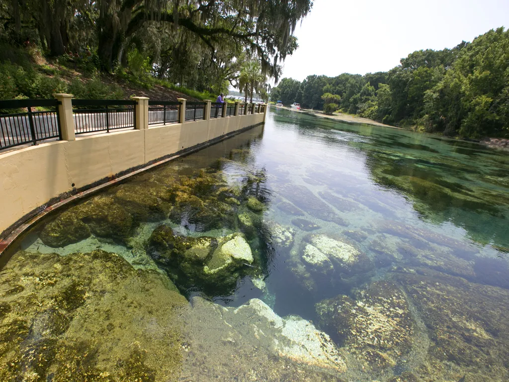  Salt Springs