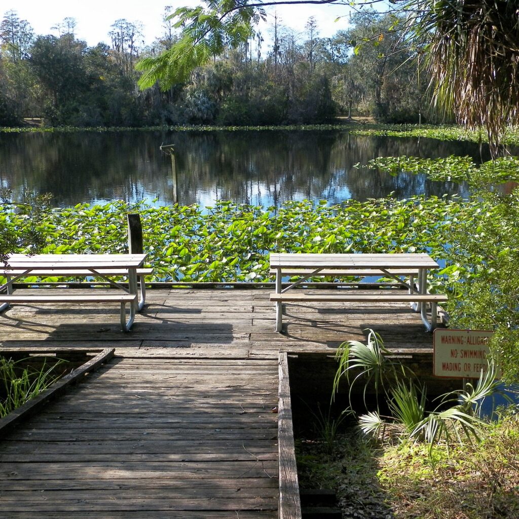 Parque Al López