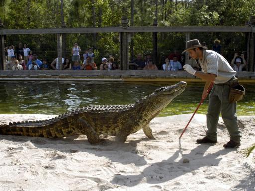 Gatorland Kissimmee