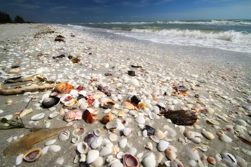 spiaggia di passaggio cieco