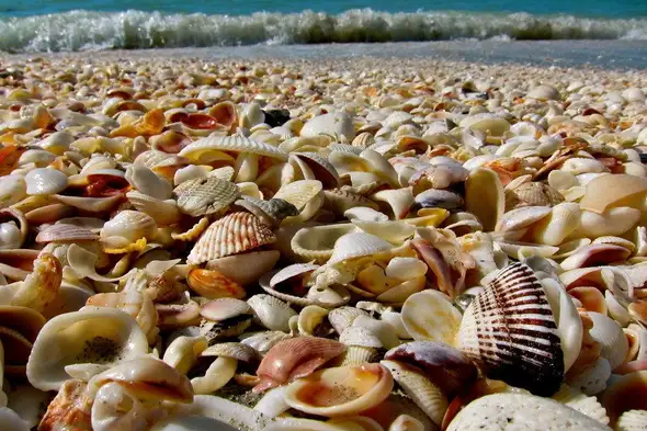 Playa e isla Sanibel 