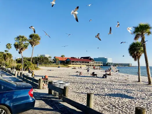 Praia de Ben T. Davis - Tampa