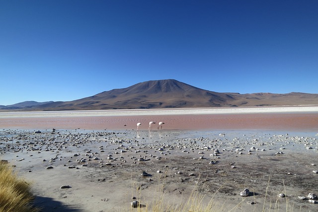 desierto de Atacama